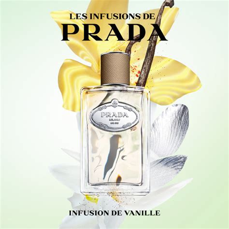 prada vanilla|Prada infusion of vanilla.